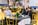 International Conference on Biodiversity and Climate Change 2025  | Misamis University Research Center